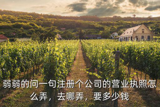深圳注冊(cè)公司去哪里注冊(cè),在深圳代辦注冊(cè)一家公司
