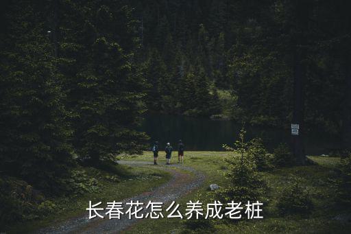 廣東長春花幼苗怎么修剪,長春花怎么養護