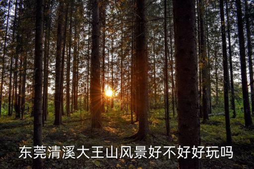 東莞清溪大王山風景好不好好玩嗎