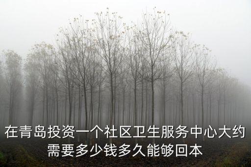 在青島投資一個社區衛生服務中心大約需要多少錢多久能夠回本