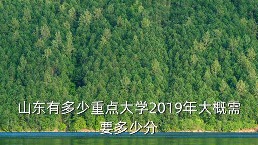 2019年山東高考628分多少名,2019年大概需要多少分