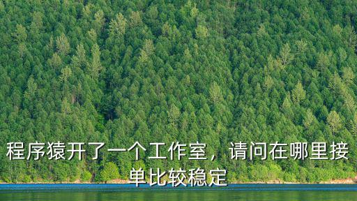 程序猿開了一個(gè)工作室，請問在哪里接單比較穩(wěn)定