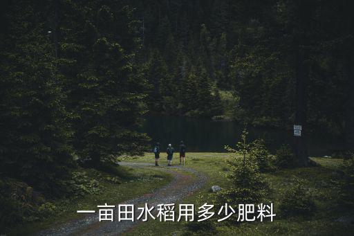 南通水稻畝產(chǎn)多少,一畝田水稻用多少肥料