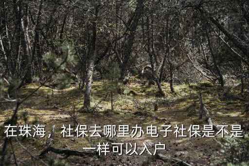 在珠海，社保去哪里辦電子社保是不是一樣可以入戶