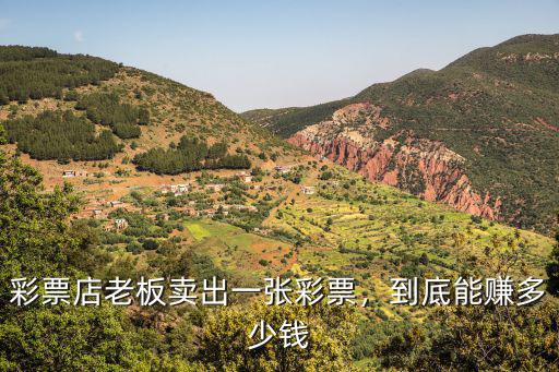 山東彩票多少錢,彩票店老板賣出一張彩票