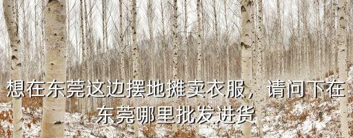 東莞干花批發市場在哪里,想在東莞這邊擺地攤賣衣服