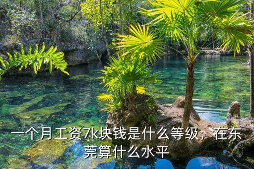 一個月工資7k塊錢是什么等級，在東莞算什么水平
