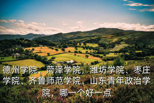 德州學院、菏澤學院，濰坊學院、棗莊學院、齊魯師范學院、山東青年政治學院，哪一個好一點