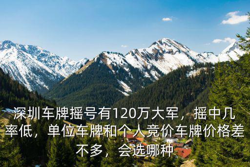 深圳單位怎么競價車牌,深圳車牌搖號有120萬大軍
