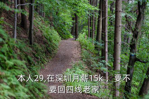 本人29,在深圳月薪15k ，要不要回四線老家