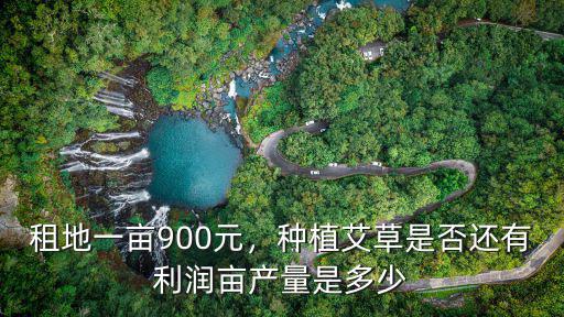 廣東普寧租地多少一畝,租地一畝900元