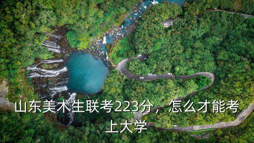 山東美術(shù)219文化課要考多少分,孩子美術(shù)考了221分