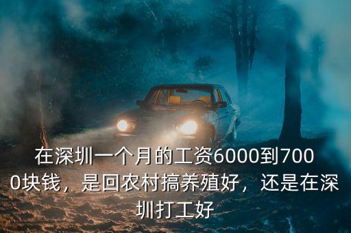 在深圳一個月的工資6000到7000塊錢，是回農村搞養殖好，還是在深圳打工好