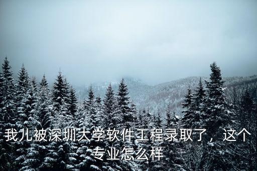 深圳大學畫畫專業怎么樣,深圳大學醫學部怎么樣
