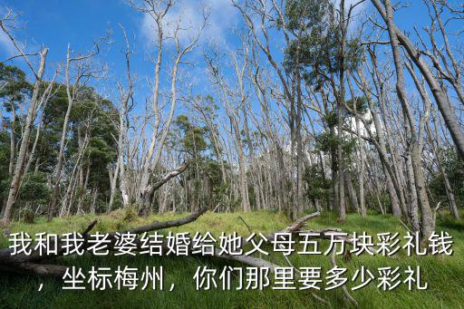 我和我老婆結婚給她父母五萬塊彩禮錢，坐標梅州，你們那里要多少彩禮