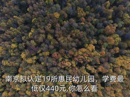 南京擬認定19所惠民幼兒園，學費最低僅440元,你怎么看