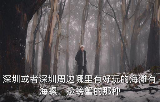 深圳或者深圳周邊哪里有好玩的海灘有海螺、撿螃蟹的那種