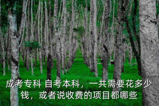 深圳自考本科大概要花多少錢,成考專科 自考本科