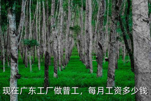 廣東打工工資每月多少,在廣州打工一個月工資有多少