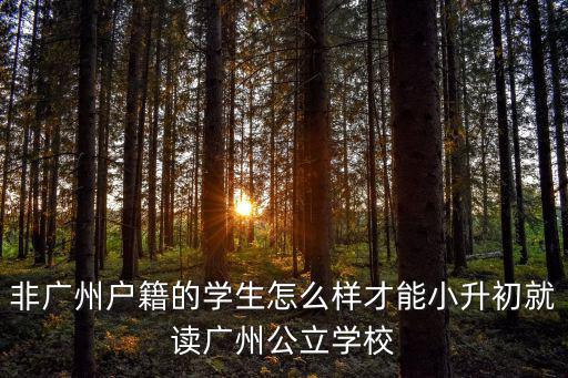廣州嘉禾小學怎么入讀,非廣州戶籍的小孩