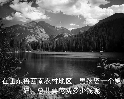 在山東魯西南農村地區，男孩娶一個媳婦，總共要花費多少錢呢
