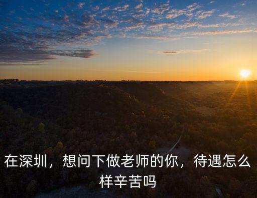 在深圳，想問下做老師的你，待遇怎么樣辛苦嗎