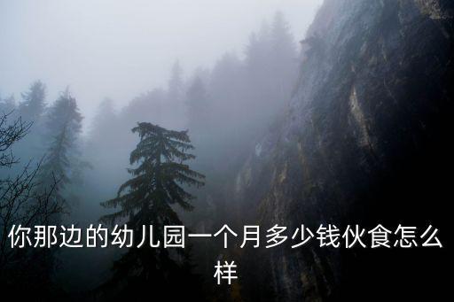 你那邊的幼兒園一個月多少錢伙食怎么樣