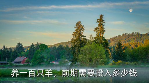 山東小綿羊多少錢一只,前期需要投入多少錢