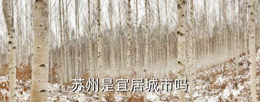 蘇州賽道多少錢,蘇州是宜居城市嗎