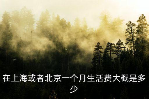 在上海或者北京一個月生活費大概是多少