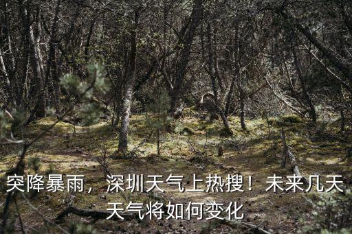 突降暴雨，深圳天氣上熱搜！未來幾天天氣將如何變化