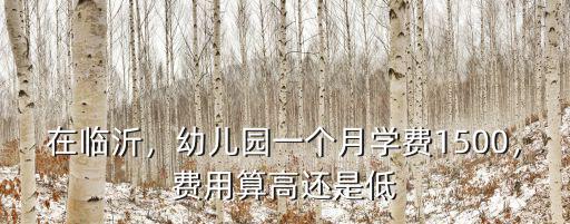 臨沂第八中學幼兒園多少錢一個月,在臨沂一個月四千多塊錢工資