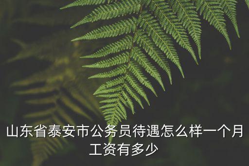 濟寧公務員十三個月工資多少錢,一個月工資有多少