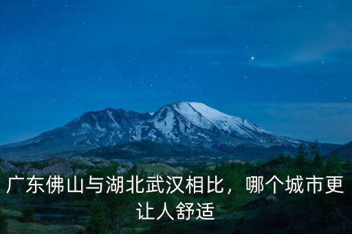 廣東佛山與湖北武漢相比，哪個(gè)城市更讓人舒適