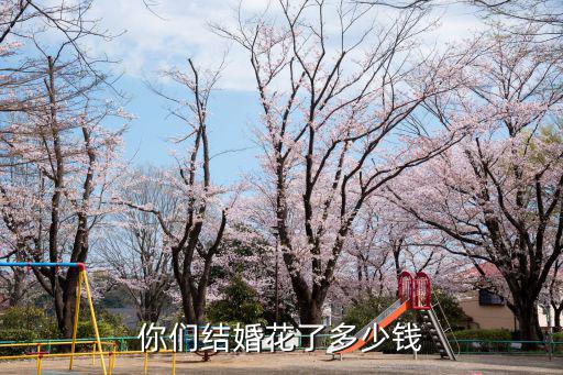 你們結婚花了多少錢