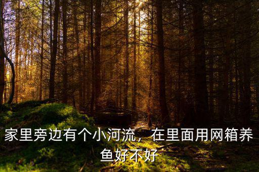 家里旁邊有個小河流，在里面用網箱養魚好不好