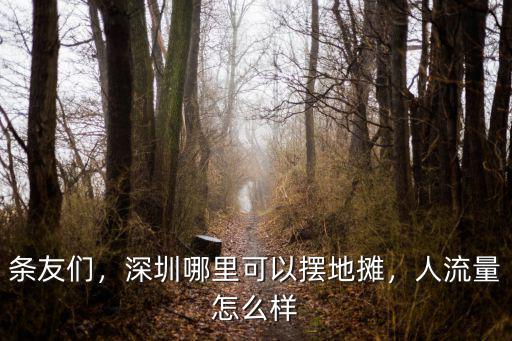 條友們，深圳哪里可以擺地攤，人流量怎么樣