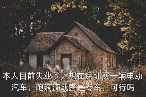 本人目前失業了，想在深圳買一輛電動汽車，跑滴滴或者是專車，可行嗎