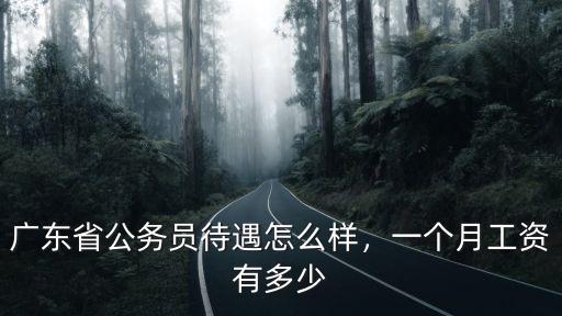 廣東省公務員待遇怎么樣，一個月工資有多少