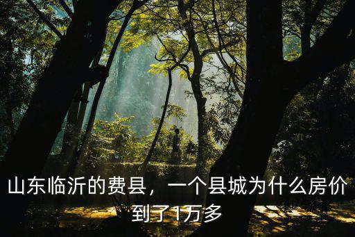山東費縣一共有多少個,山東臨沂的費縣