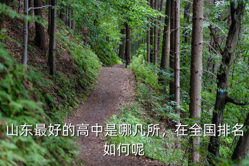 山東最好的高中是哪幾所，在全國排名如何呢