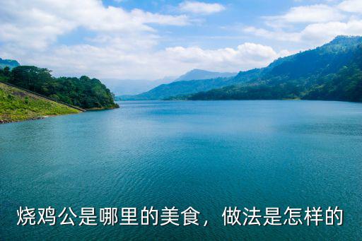 深圳市西鄉燒雞公哪里好吃,燒雞公是哪里的美食
