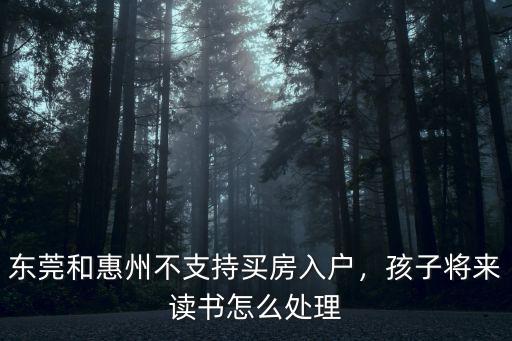 東莞和惠州不支持買房入戶，孩子將來讀書怎么處理