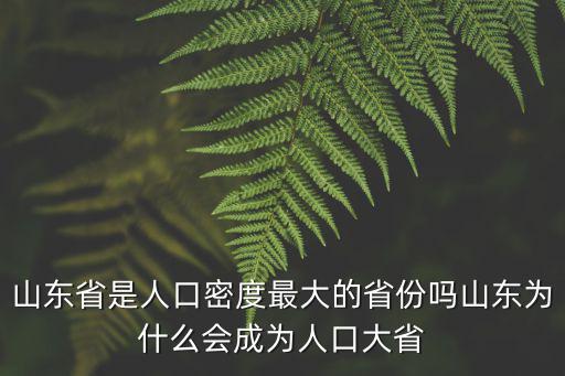 山東省是人口密度最大的省份嗎山東為什么會(huì)成為人口大省