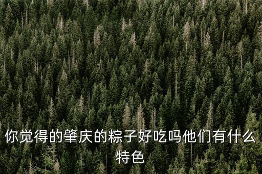 你覺得的肇慶的粽子好吃嗎他們有什么特色