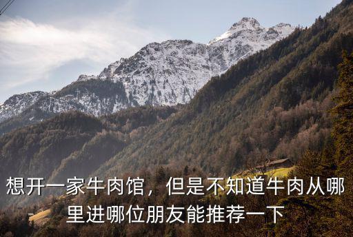 想開一家牛肉館，但是不知道牛肉從哪里進哪位朋友能推薦一下