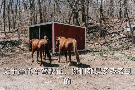 濰坊摩托車駕駛證報名多少錢,關于摩托車駕駛證