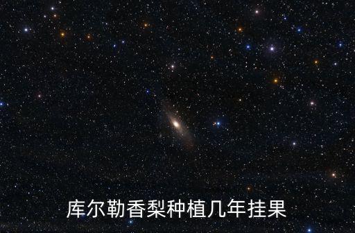 庫爾勒香梨在廣州多少錢,庫爾勒香梨種植幾年掛果