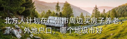 廣東在哪里買房養老,四十萬在南方哪里買房養老好