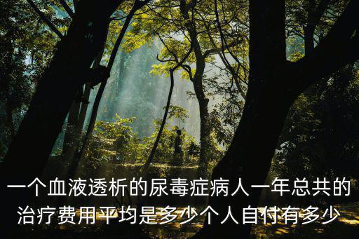 一個血液透析的尿毒癥病人一年總共的治療費用平均是多少個人自付有多少